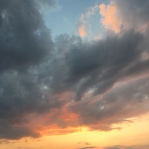 Meet your Posher, Sophia